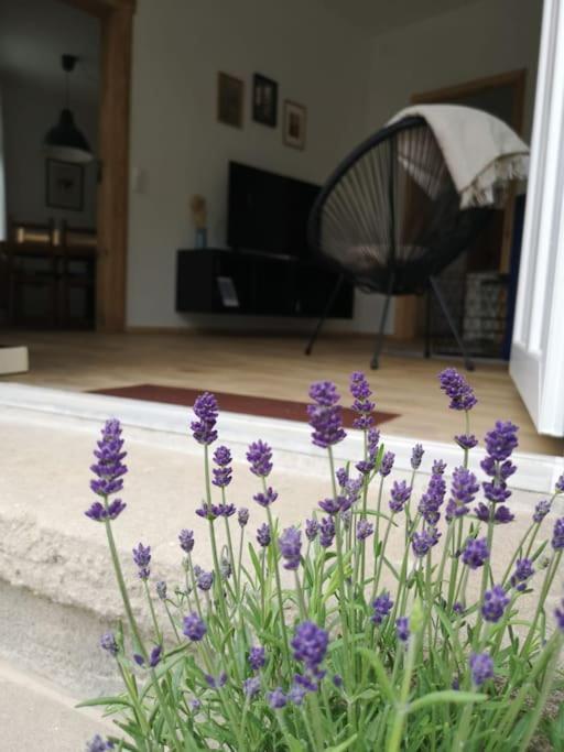 Ferienwohnung Zur Parthe กริมมา ภายนอก รูปภาพ